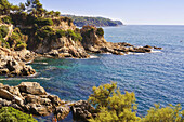 Coast. LLoret de Mar. Catalonia. Spain