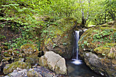 Cascada en el rio Arenal. Santa Marina de Valdeón. Provincia de León. España.