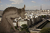 France. Paris. A gargoyle on the Galerie des Chimeres of Notre_Dame Cathedral with the view of city of Paris in the background.