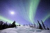 Northern lights (Aurora borealis) Northwest territories, March 2008, Canada