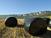 Straw bales in Viloria (Navarre). Spain