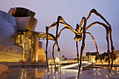 Guggenheim Museum in the evening, Bilbao. Biscay, Basque Country, Spain