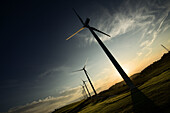 Energía eólica. Parque de molinos de viento en Catalunya, Spain