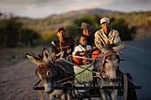 Family on a cart pulled by a donkey, Windhoek, Namibia, Africa