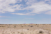 Namibwüste, Große Spitzkoppe im Hintergrund, Namibia, Afrika