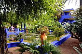 Pond and trees at the Gardens of Majorelle, Marrakesh, South Morocco, Morocco, Africa