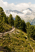 Hikers at the hiking area Speikboden, Sand in Taufers,  Tauferer Tal, South Tyrol, Italy
