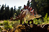 Toy stegosaurus at a clearing in front of conifers
