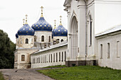 RUSSIA  Detail of onion roofs on the Nikolo-Vyazhishchevskiy Monastery, near Novgorod
