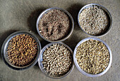 9239  INDIA  Traditional seeds of horse gram, red gram, cow peas, rice and finger millet   Alaganahalli village, near Kolar, Karnataka