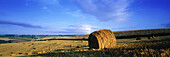 Hay bales, The Cotswolds, Gloucesterhire, UK