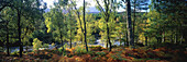 River Tummel in Pitlochry, Perthshire, Scotland, UK