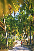 Palm trees, Zanzibar, Tanzania