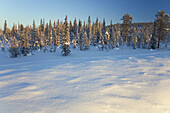 Winter landscapes. Kiruna, Northern Sweden