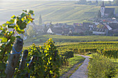 Hunawihr and vineyards, Alsace, France