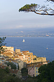 View of St Tropez. Côte dAzur, French Riviera, France