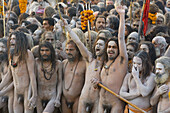 Naga Sadhus returning from bathing in The holy river Ganges at Kumbh Mela Festival. Allahabad, Uttar Pradesh, India