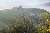 Farmhouse & vineyards. Radda in Chianti. Tuscany. Italy