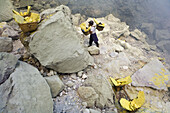 Sulphur workers, Kawa Ijen, Ijen Plateau, East Java, Indonesia. Sulphur workers collecting sulphur rocks from volcano