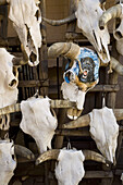 Cow skulls, Santa Fe, New Mexico, USA