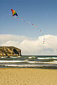Kite on the beach