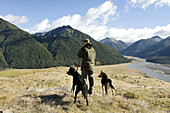 Sheeperd and Sheep dogs in the Southern Alps