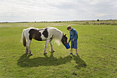 Boy feeding a horse.