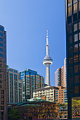 CN Tower and Downtown Toronto, Ontario, Canada