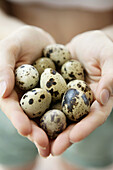 Hands offering fragile eggs