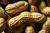 Several peanuts macro as a texture