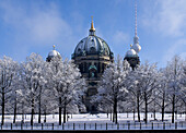 Berliner Dom im Winter, Berlin, Deutschland