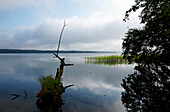 Landschaft am Werbellinsee, Eichhorst, Schorfheide, Brandenburg, Deutschland