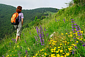 Woman walking through a meadow full of flowers, Monte Generoso, valley of Muggio, Ticino, Switzerland