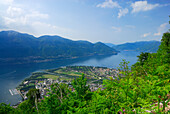 Delta of river Maggia with Locarno and Ascona at lake Maggiore with Monte Gambarogno in the background, Orselina, Locarno, Lago Maggiore, Ticino, Switzerland
