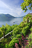 Terrassierter Garten mit Palmen über Lago Maggiore, Ronco sopra Ascona, Lago Maggiore, Tessin, Schweiz
