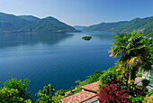 Terraced garden with palm trees and roofs above lake Maggiore with isle of Brissago, Isole di Brissago, Ronco sopra Ascona, lake Maggiore, Lago Maggiore, Ticino, Switzerland