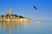 Ausflugsboot vor der Altstadt von Rovinj unter blauem Himmel, Kroatische Adriaküste, Istrien, Kroatien, Europa