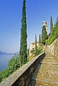 Zypressen am Weg zur Kirche von Morcote, Blick zum Lago di Lugano, Tessin, Schweiz, Europa