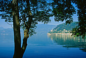 Blick über den Lago di Lugano auf das Dorf Morcote, Tessin, Schweiz, Europa
