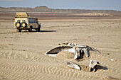 Whale bones on the shore of the Skeleton Coast, Namibia