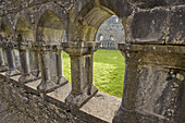 Windows inside Cong Abbey, Ireland
