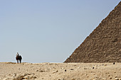 Pyramids of Giza. Egypt