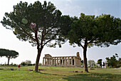 Hera Tempel, Ausgrabungsstätte von Paestum, Castellabate, Cilento, Italien