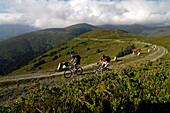 Two people on a mountain bike tour at Grenzkamm, Wipptal, Brenner, Tyrol, Austria