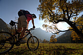 Mountainbiken im herbstlichen Karwendel, Großer Ahornboden, Eng, Tirol, Österreich, Europa