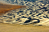 Sanddünen im Death Valley, Kalifornien, Nordamerika, Amerika