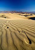 Fussspuren im Sand unter blauem Himmel, Death Valley, Kalifornien, Nordamerika, Amerika