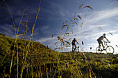 People mountain biking, Hall, Tyrol, Austria