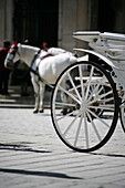 Fiaker, Horse drawn carriage, Vienna, Austria