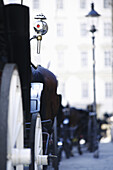 Fiaker, Horse drawn carriages, Vienna, Austria